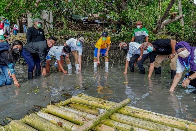MANGROVE PLANTING